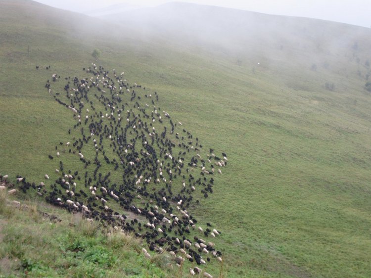 Джилы-Су в тумане — Туризм и путешествия: фотоотчеты из поездок (фото 5)