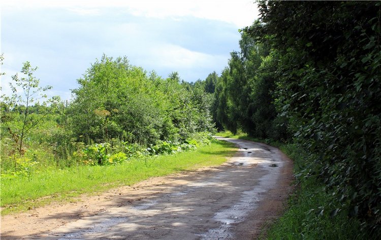 Августовское путешествие в "Сад Камней" | Бэйбики Августовское путешествие в "Сад Камней"