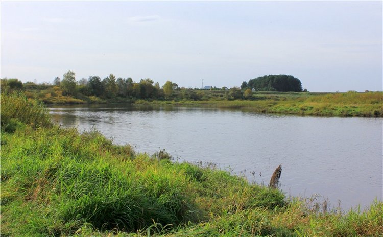 Путешествие Имани на Волгу, продолжение. Mini Imani от Kaye Wiggs (фото 4)