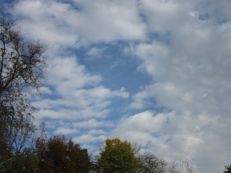 Осенняя пора в Ростове-на-Дону