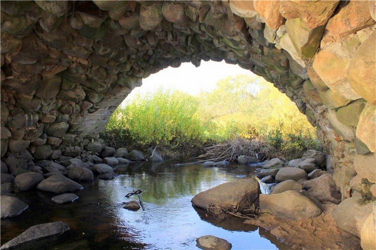 Путешествие Dal Hangry в Грузины