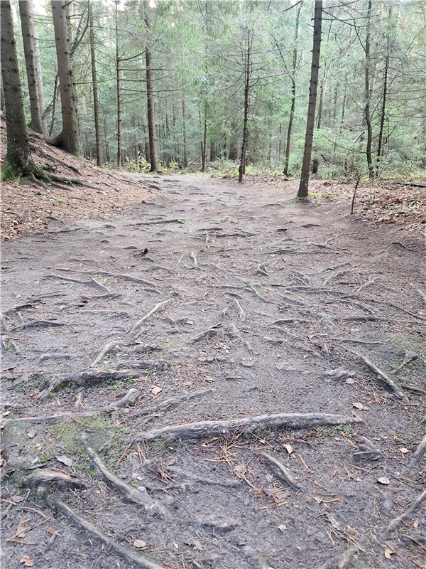 Путешествие по Святым местам Тверской области