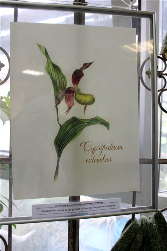 Тверской Ботанический Сад