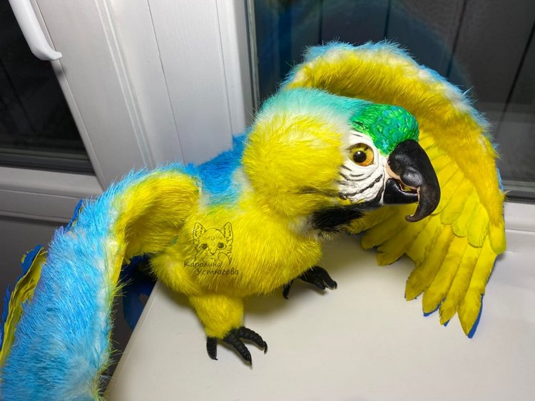 Попугай Ара. Желто-голубой (фото 2)