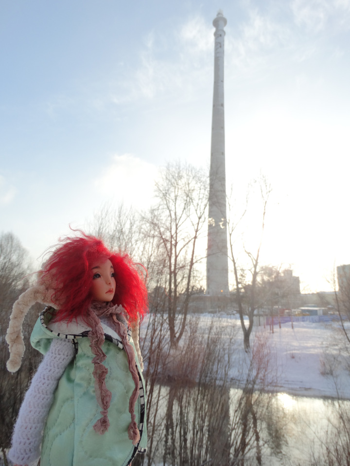 Котина прогулка. Про нашу телебашню