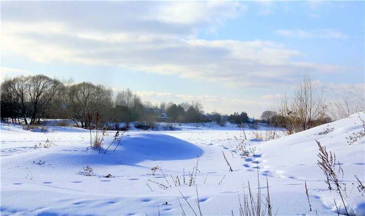 Зимняя прогулка Сони. Уникальная кукла от Сильвии Наттерер