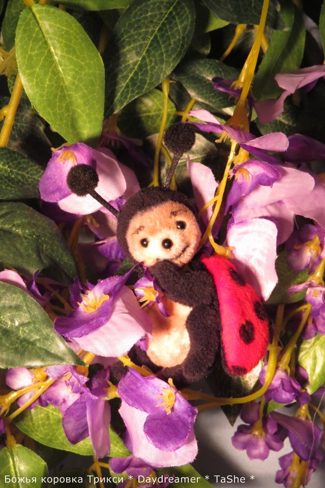 Трикси. Милая непоседа — Авторские мишки Тедди и друзья: фото