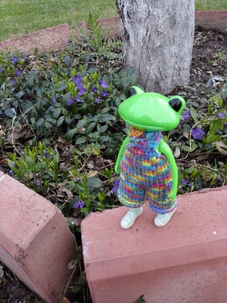 Добро пожаловать в удивительный мир Ванды