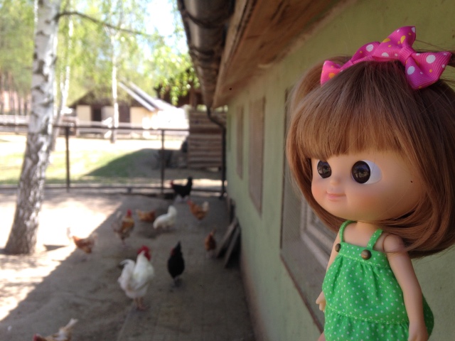 Как мы побывали в Некотором царстве ... с Mui-chan