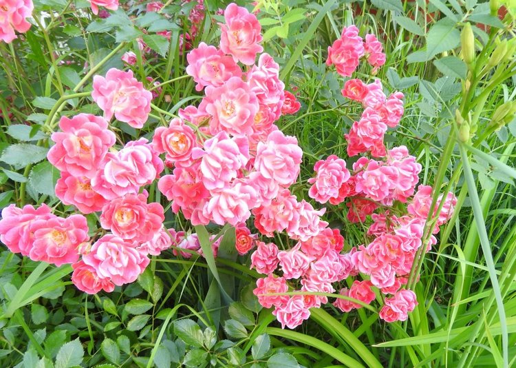 Краснодарский Край, Сочи-Адлер, Санаторий «Южное Взморье»