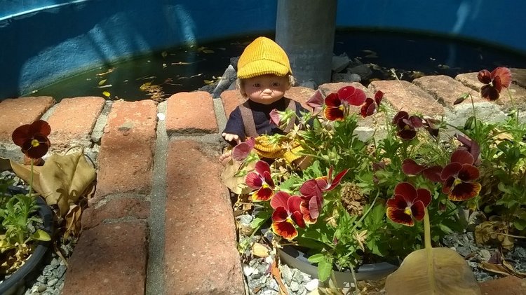 Керкира – город на изумрудном острове. (часть вторая)