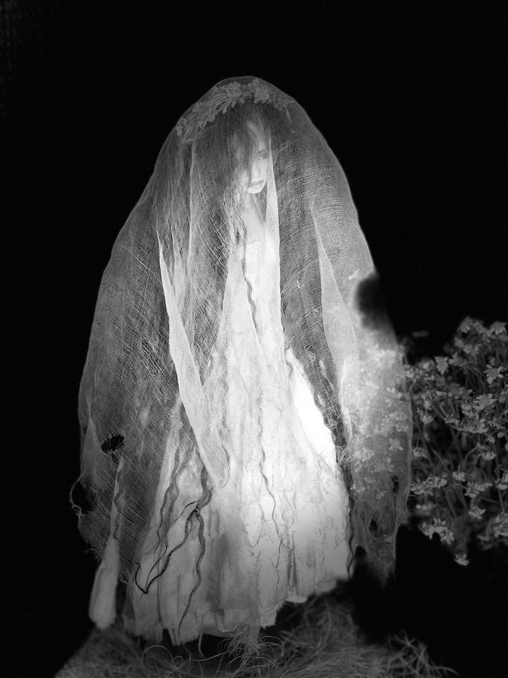 Привидение замка Борхов — Домашние фото авторских кукол: личные коллекции (фото 2)