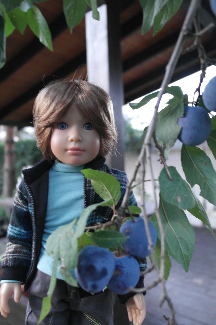 Сливовые сумерки — Куклы Kidz'n'Cats (Соня Хартман): шарнирные 46 см (фото 8)