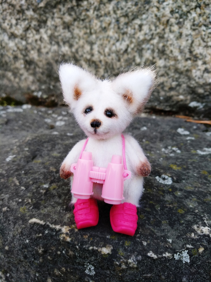 Тайна моего имени. Часть третья. Обидно, когда тебе никто не верит (фото 10)