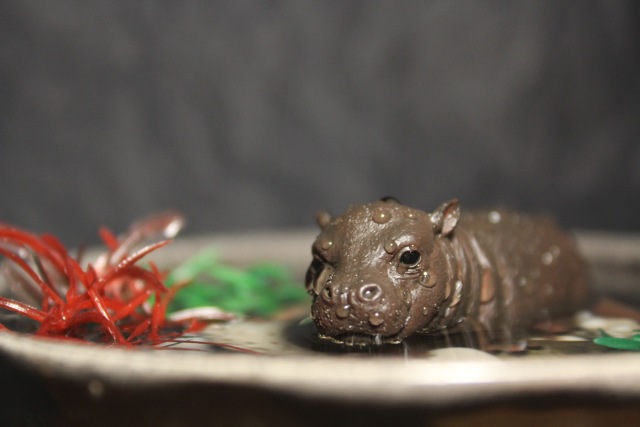 Collecta & Schleich | Бэйбики Collecta & Schleich — Интересные игрушки и фигурки (разное): редкие