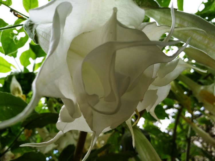 Тайна моего имени. Часть восьмая. Испания, Севилья. Колумб повсюду