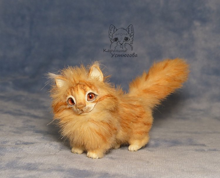 Мейн-ку́н, миниатюра. Рыженький