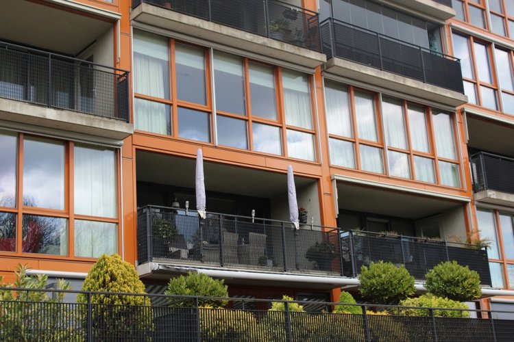 Цветущая Сакура. Прогулка по парку с Алисой. Весенние зарисовки