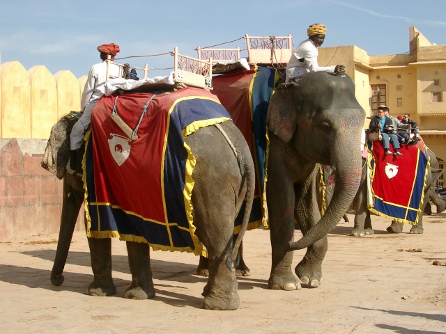 Сказочная Индия — Туризм и путешествия: фотоотчеты из поездок (фото 7)