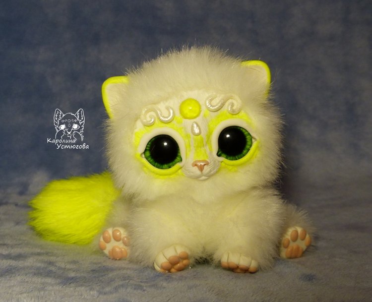 Королевские волшебные коты, породы: Мирис. В кадре и за кадром. Процесс