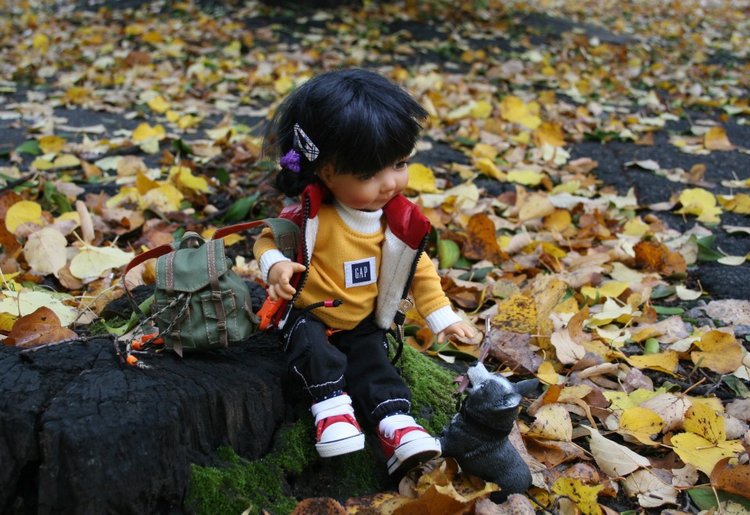 Осень и Бейли — Куклы Meadow dolls (Медовушки): BJD (БЖД) (фото 7)