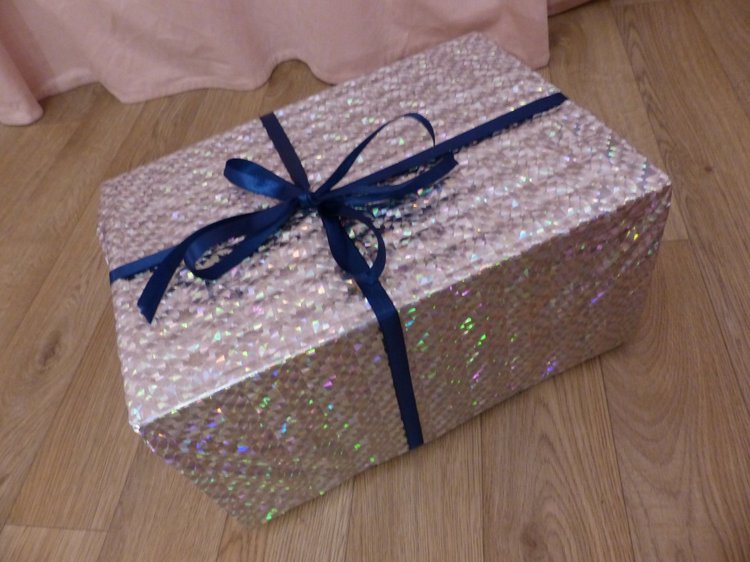 Новогодняя упаковка, провожаем в путь зверяток. Разные фотографии