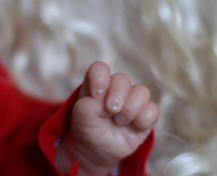 Рождественский эльф Флинн (фото 8)