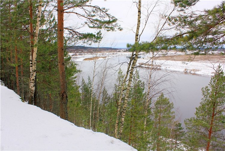 Бейли и Дий. Mini Bailey SK от Meadow dolls