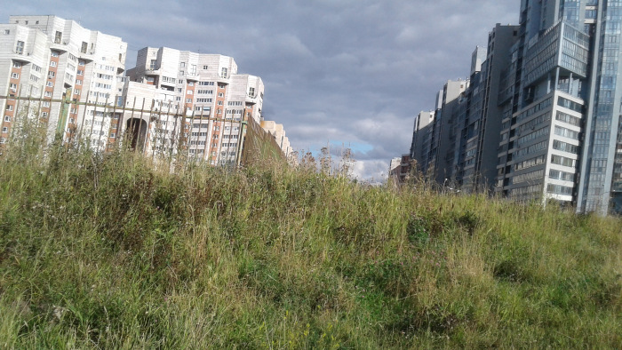 Петербург: фрагменты впечатлений 2