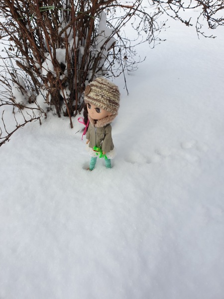 Неподражаемые Муф — Азиатские виниловые куклы (разное): Китай (фото 8)