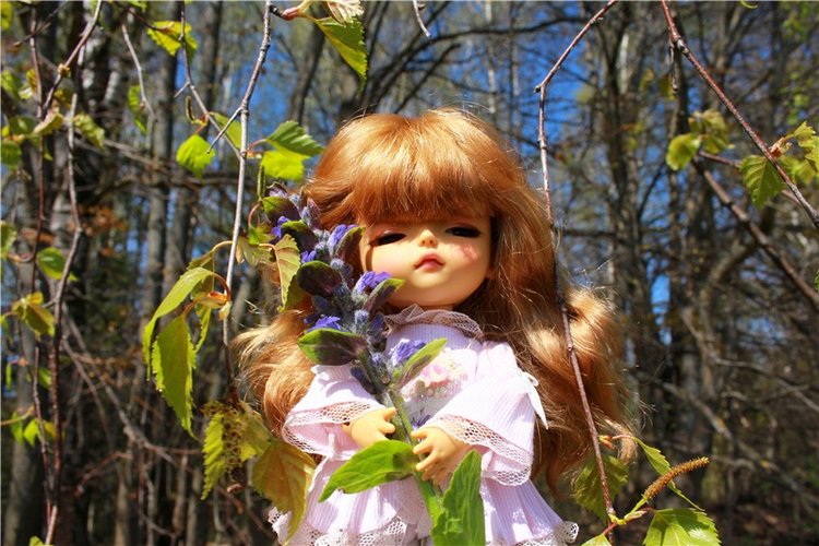 Путешествие Софи в Старицу, продолжение. Lati HoneyBee New Mystic Sophie