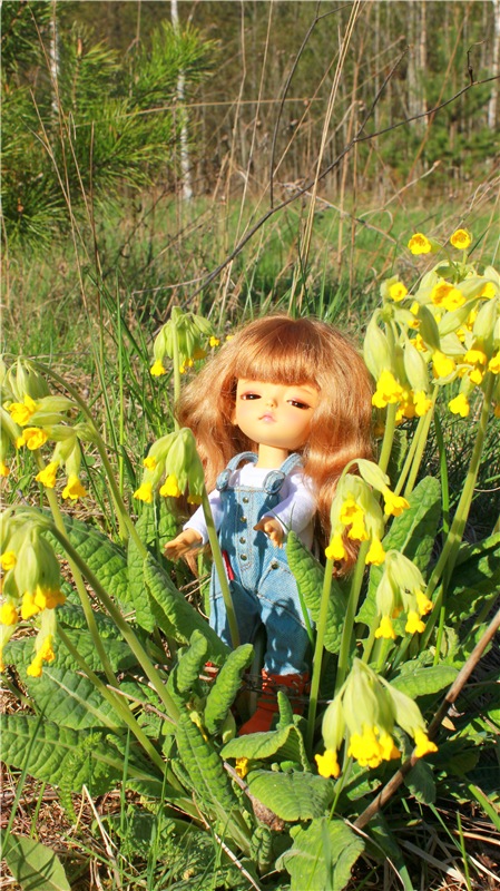 Прогулка Софи. Lati HoneyBee New Mystic Sophie | Бэйбики Прогулка Софи. Lati HoneyBee New Mystic Sophie