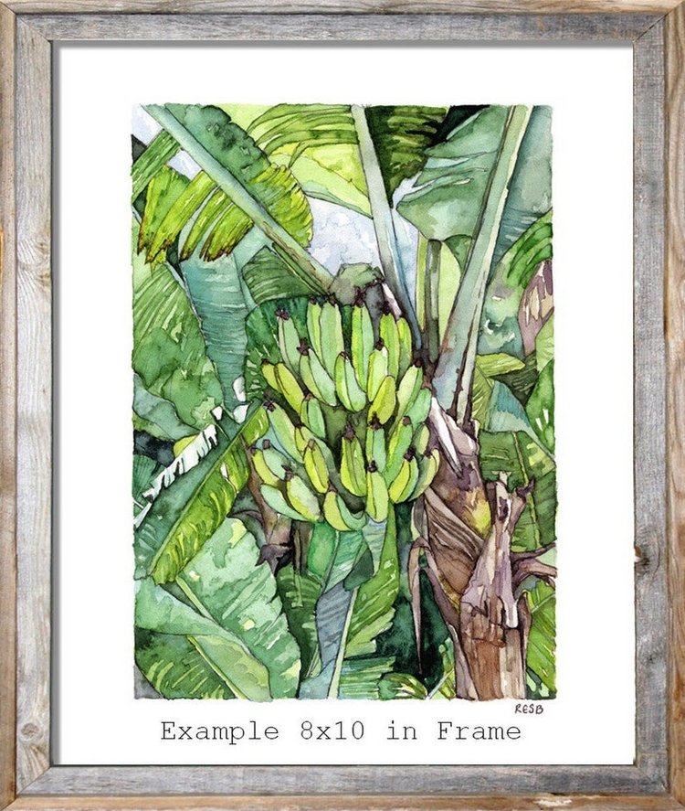 TheColorfulCatStudio - Иллюстрированная флора by Rachel Byler