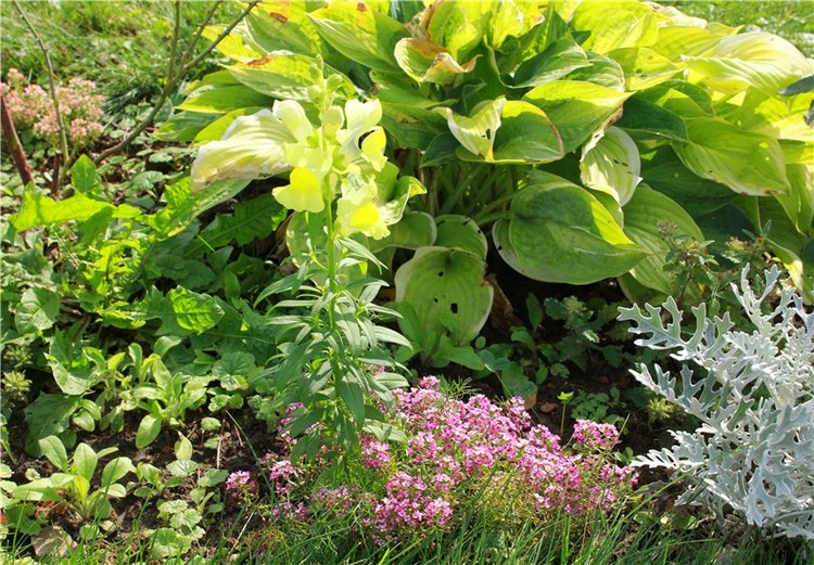 Сентябрьское путешествие в Старицу. Старицкий Свято-Успенский Монастырь