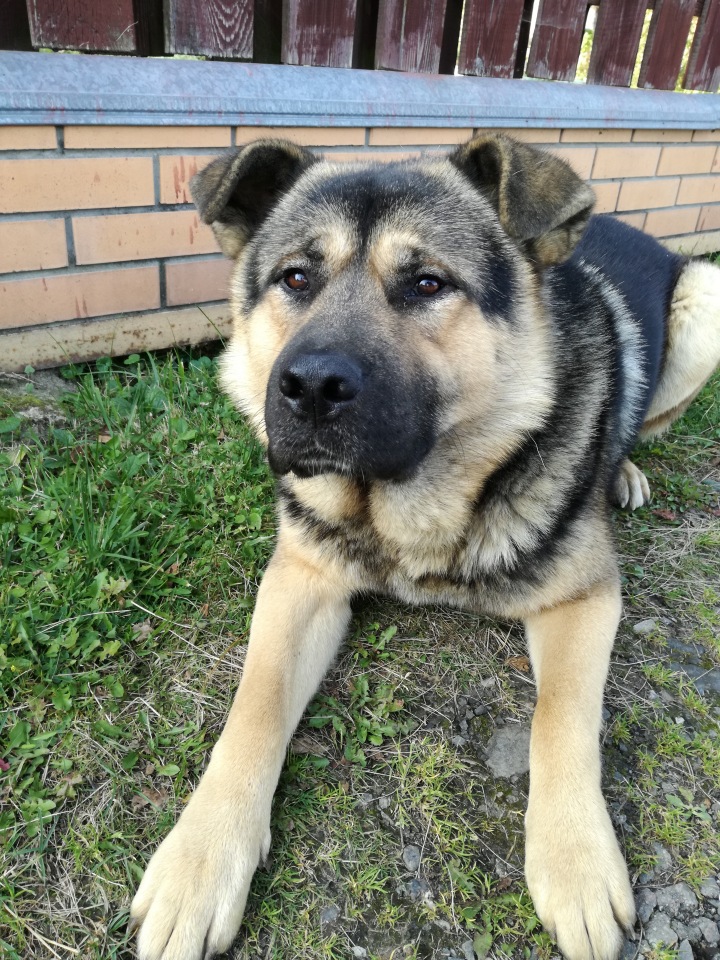 Плюшечка Лотта — Куклы Heidi Plusczok (Хайди/Хейди Плюсчок) — фото