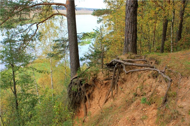 Путешествие Имани на Волгу, продолжение. Mini Imani от Kaye Wiggs