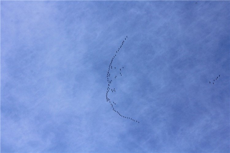 Путешествие Имани на Волгу. Mini Imani от Kaye Wiggs