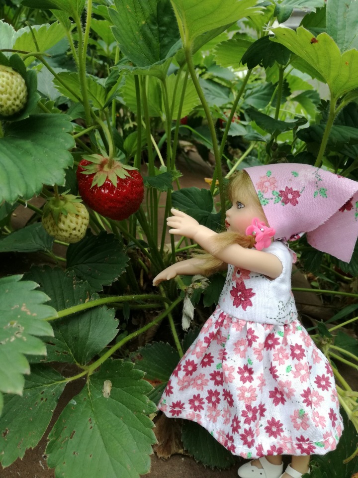 Подружки Райли — Куклы Helen Kish (Хелен Киш): Riley (Райли) (фото 10)