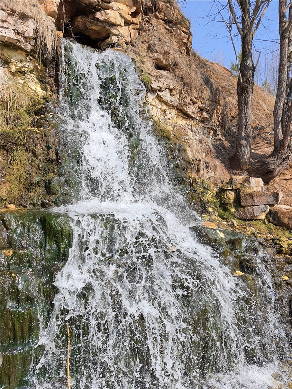 Путешествие Имани в ПанИку (фото 4)