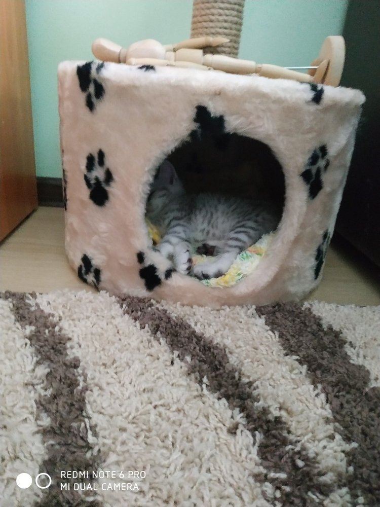 Гостей с такими подарками надо гнать поганой метлой! Или не надо (фото 2)