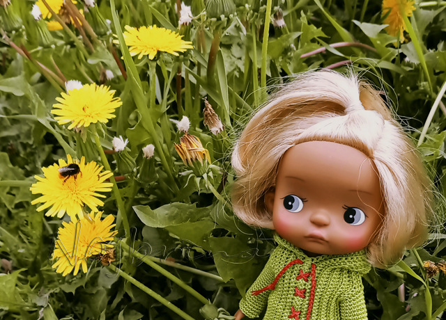 Holala Pipita Peter — Куклы Holala (Холала) от Jenny Fairytown: Pipita