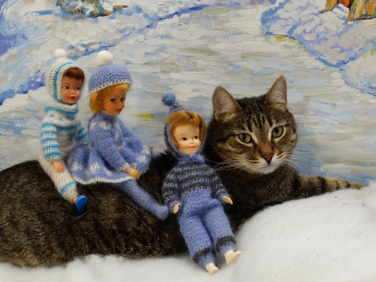 Кото-фото — В мире животных: смешные фото питомцев и зверей (фото 5)