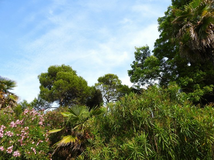 Краснодарский Край, Сочи-Адлер, Санаторий «Южное Взморье»