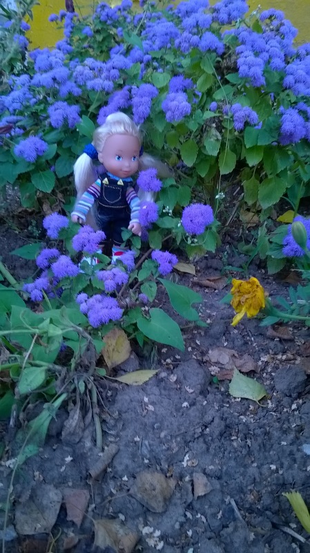 Девчонка по имени Женька-подарок форумчанки Анечки