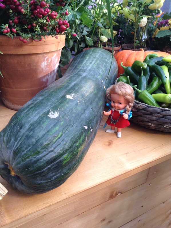 Аптекарский огород сегодня. ч.5. Грибной фестиваль