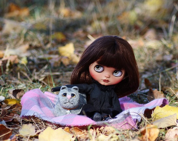 Кот и его девочка. Blythe tbl (фото 8)