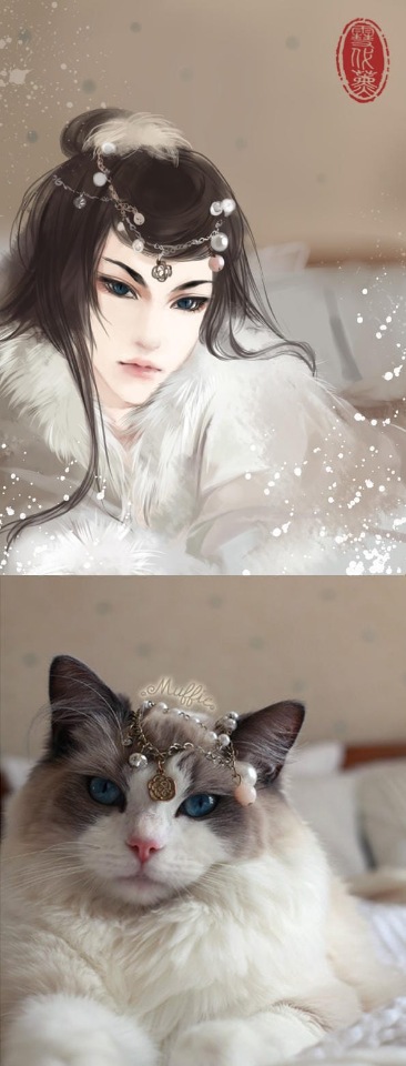 Как выглядели бы кошки, будь они девушками из аниме