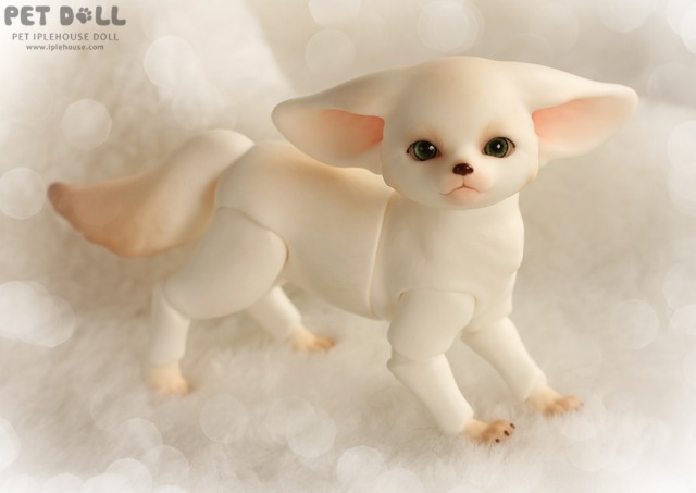 Новинки от Iplehouse - Маленький принц Fay (формат KID) и лис Fennec Fox