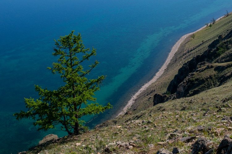 Аюна и Баир на Байкале | Бэйбики Аюна и Баир на Байкале — Куклы Iplehouse (Иплхаус): BJD (БЖД) (фото 4)