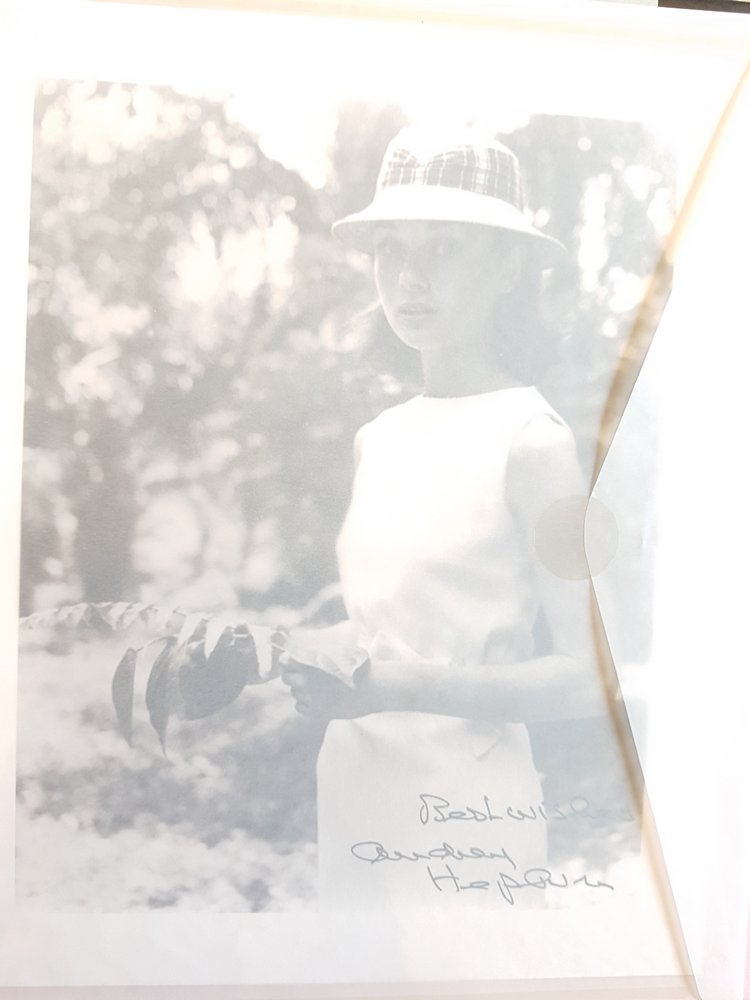 Шкаф в мою личную Нарнию | Бэйбики Шкаф в мою личную Нарнию — Болталка и разговоры обо всем: жизнь